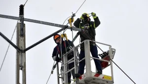 fot. Darek Delmanowicz