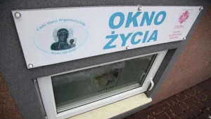 Okno życia w Piotrkowie Trybunalskim/fot. Grzegorz Michałowski