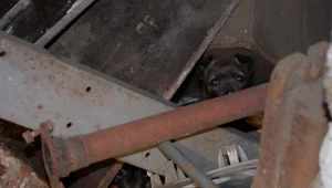 Policja prowadzi dochodzenie w tej sprawie