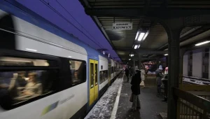 Wyniki audytu ws. Kolei Śląskich - w przyszłym tygodniu /fot. A. Kamiński
