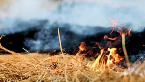 Duże zagrożenie pożarowe w lasach