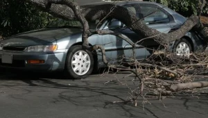 Wielkie sprzątanie po nawałnicach. Strażacy interweniowali ponad 240 razy