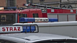 Interweniowała straż pożarna