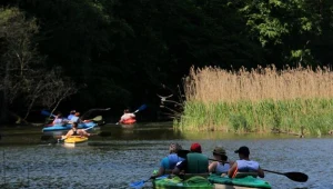 Na zdjęciu spływ kajakowy. Fot. Tomasz Waszczuk