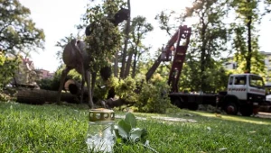 Park miejski w Szczawnie Zdroju, w którym zginęła 4-latka/fot. M. Kulczyński