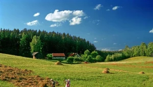 Warmia, fot. Piotr Płaczkowski