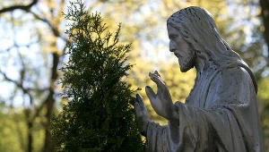 Białystok: 1 listopada będzie bezpłatna komunikacja miejska