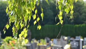 W okresie Wszystkich Świętych nastąpią zmiany w komunikacji miejskiej w Gorzowie Wielkoplskim.