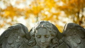 W okresie Wszystkich Świętych w Lublinie nastąpią zmiany w rozkładzie jazdy komunikacji miejskiej.