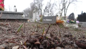 Miejsce, na którym zostaną pochowane dzieci znalezione w zamrażalniku/fot. E. Jabłońska
