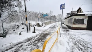 Fot. Piotr Matusewicz