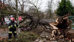 Fot. Maciej Kulczyński
