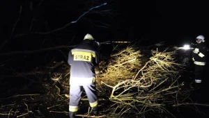 Fot. Marcin Bielecki