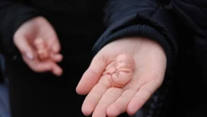 Manifestacja antyaborcyjna/ fot. Włodzimierz Wasyluk