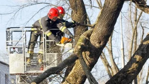 fot. Wojciech Artyniew