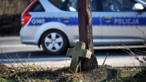 Okoliczności wypadku wyjaśnia policja /fot. M. Lasyk