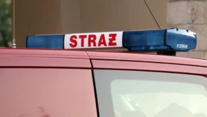 Wyciek amoniaku został już zatamowany przez strażaków