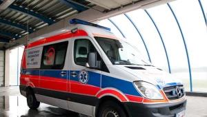 Śląskie: Drzewo runęło na dziecko