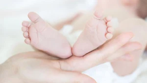 Zdjęcie ilustracyjne