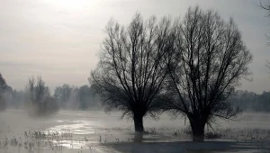 Wody w rzekach wciąż przybywa  / fot. J. Orzechowski