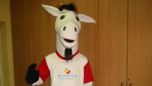 Koziołek "imprezowicz"