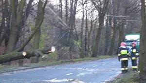 Uwaga, będzie mocno wiało