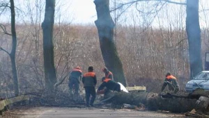 Po wichurach ok. 2 tys. osób bez prądu