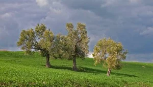 Dzień Ziemi w Mrągowie