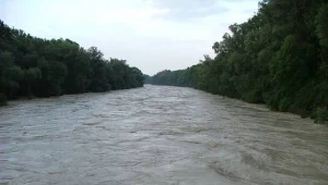 To naprawdę dobra inwestycja!