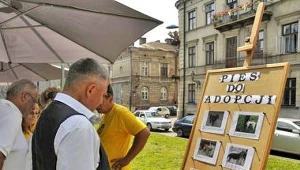 Pomagają bezdomnym psom