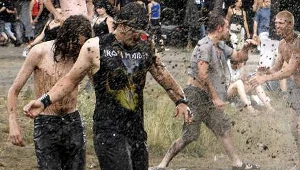 14. Przystanek Woodstock okiem wojewody