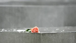 Obchody rocznicy bitwy pod Lenino