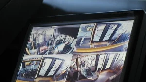 Monitoring parku przy ul. Nowy Rynek