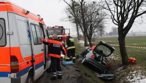 Wypadek miał miejsce na drodze krajowej nr 45.