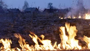 Wypalanie trawy jest w Polsce traktowane jak przestępstwo.
