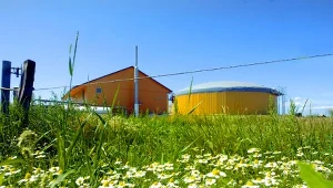 Czy powstanie biogazownia w Skarbimierzu?