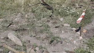 /fot. M. Kulczyński