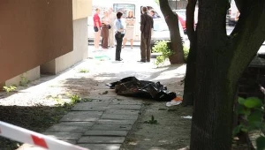 Niestety, pomimo podjętych prób reanimacji kobiety nie udało się uratować / fot. Mario