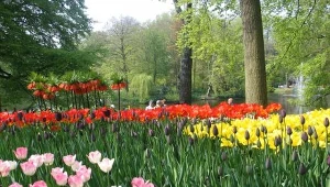 Ogrody Piosenek 2009 już 24 sierpnia w Lublinie