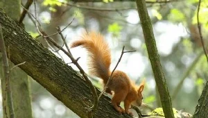 Obchody 20-lecia Wigierskiego Parku Narodowego