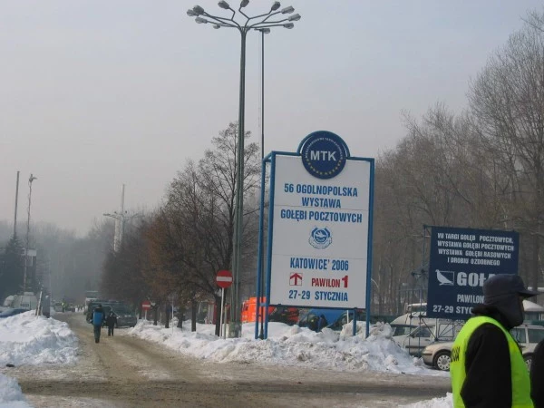 Byliśmy w Katowicach kilkanaście godzin po katastrofie hali targowej/ fot. INTERIA.PL Byliśmy w Katowicach kilkanaście godzin po katastrofie hali targowej/ fot. INTERIA.PL