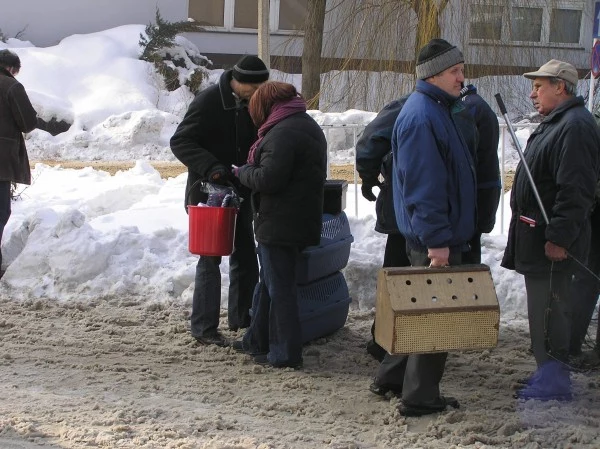 Byliśmy w Katowicach kilkanaście godzin po katastrofie hali targowej/ fot. INTERIA.PL Byliśmy w Katowicach kilkanaście godzin po katastrofie hali targowej/ fot. INTERIA.PL