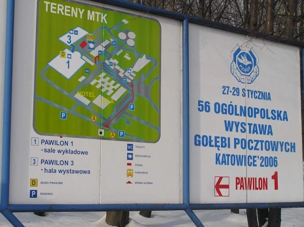 Byliśmy w Katowicach kilkanaście godzin po katastrofie hali targowej/ fot. INTERIA.PL Byliśmy w Katowicach kilkanaście godzin po katastrofie hali targowej/ fot. INTERIA.PL