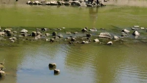 Mielec: Boją się elektrowni!