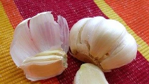 Wilk, czosnek i jutka na wigilii w tradycji Podkarpacia