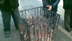 Koksowniki na ulicach Gorzowa