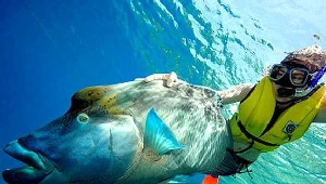 Australia - kontynent kontrastów