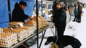 Jajko z fermy kosztuje 50 groszy, za wiejskie trzeba zapłacić drugie tyle