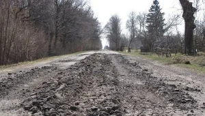 Drogi w gminie są tak dziurawe, że nie mogą po nich jeździć gimbusy