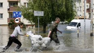Zalane Osiedle Kozanów we Wrocławiu